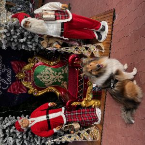 Wandelmaatje achtergrond