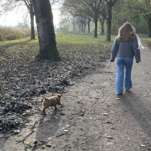 Wandelmaatje achtergrond