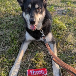 Wandelmaatje achtergrond