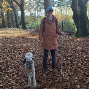 Wandelmaatje achtergrond