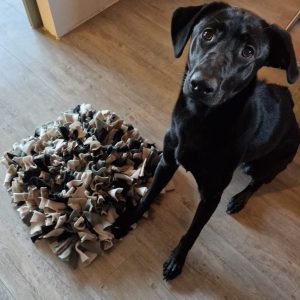 Wandelmaatje achtergrond