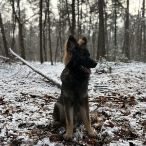 Wandelmaatje achtergrond