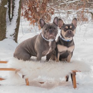 Wandelmaatje achtergrond