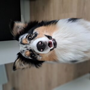 Quinn