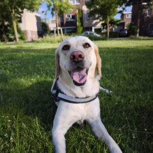 Bailey