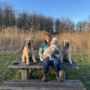Wandelmaatje achtergrond
