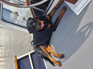 Wandelmaatje achtergrond