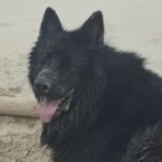 Profielfoto